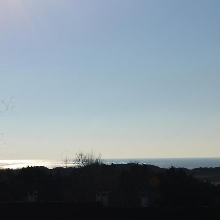 Vue Mer Berck 外观 照片