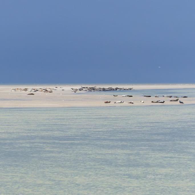 Vue Mer Berck 外观 照片